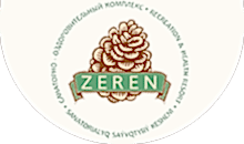 логотип Zeren