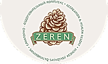 логотип Zeren
