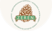 логотип Zeren